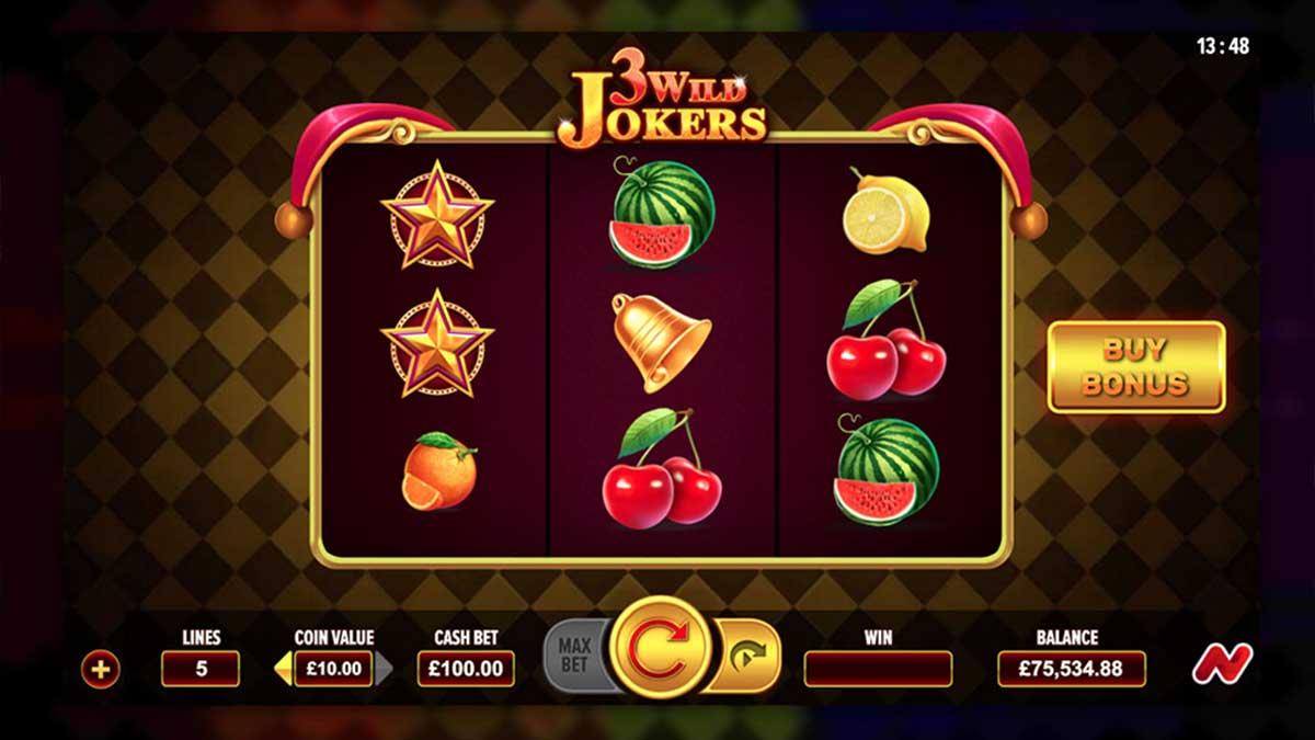 Wild Joker Gambling Enterprise Review: Our Verdict