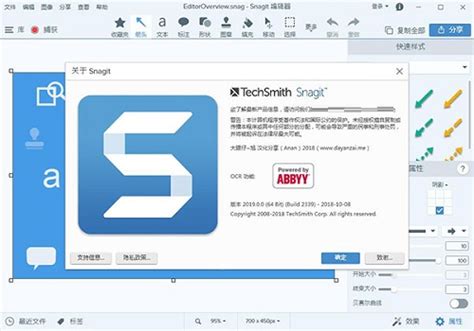 Snagit Business 2025 Download For PC
